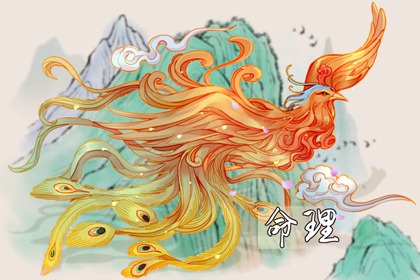 择吉皇历一万年历 择吉2026皇历 老皇历杳询